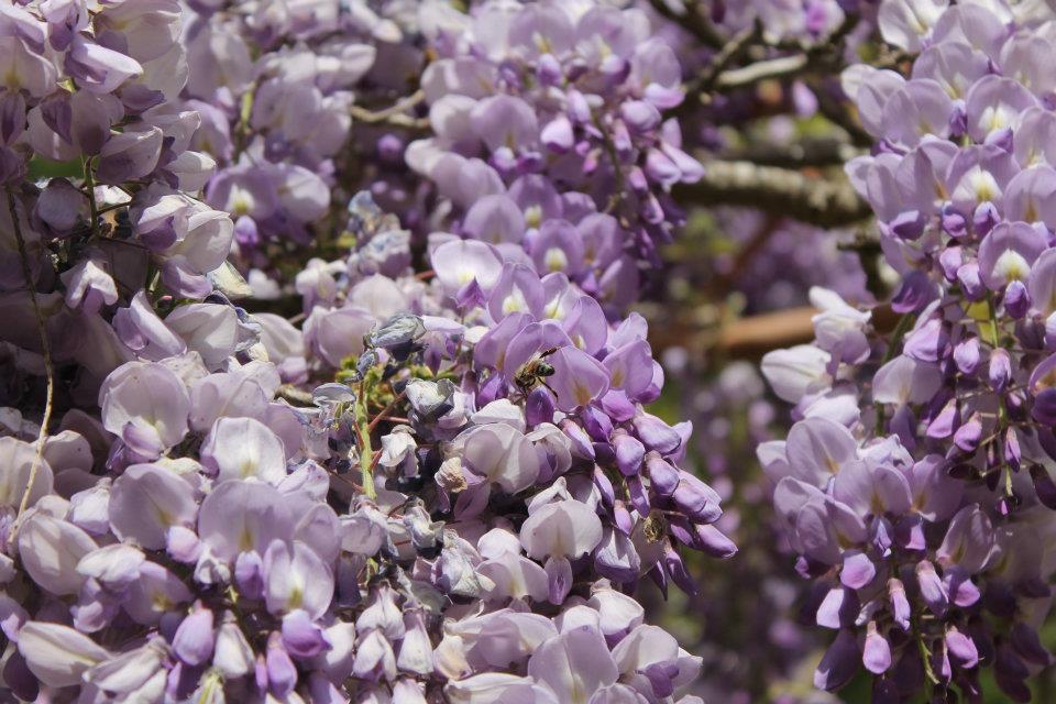 ya�am m�cadelesi