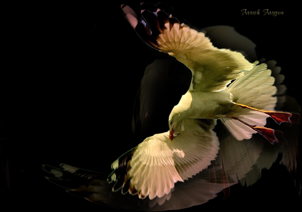 BEN�M MARTILARDAN..