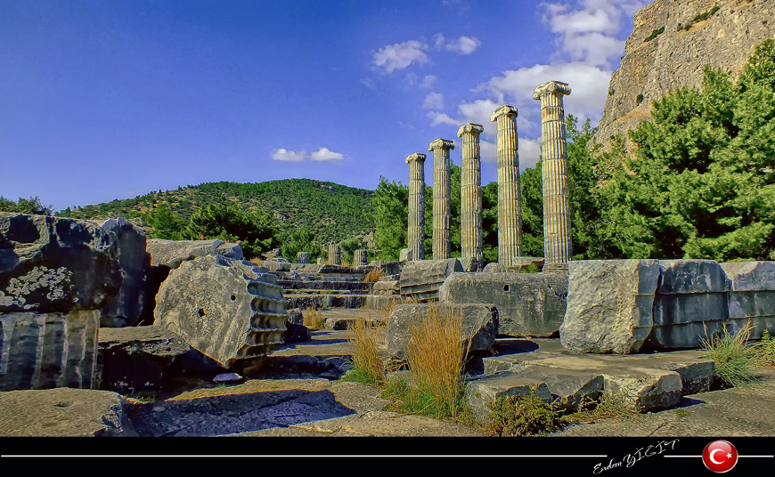 PRIENE