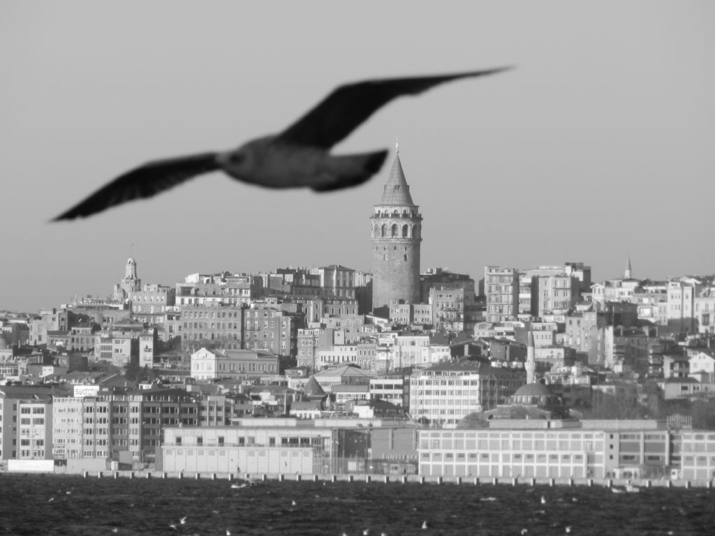 galata ve mart