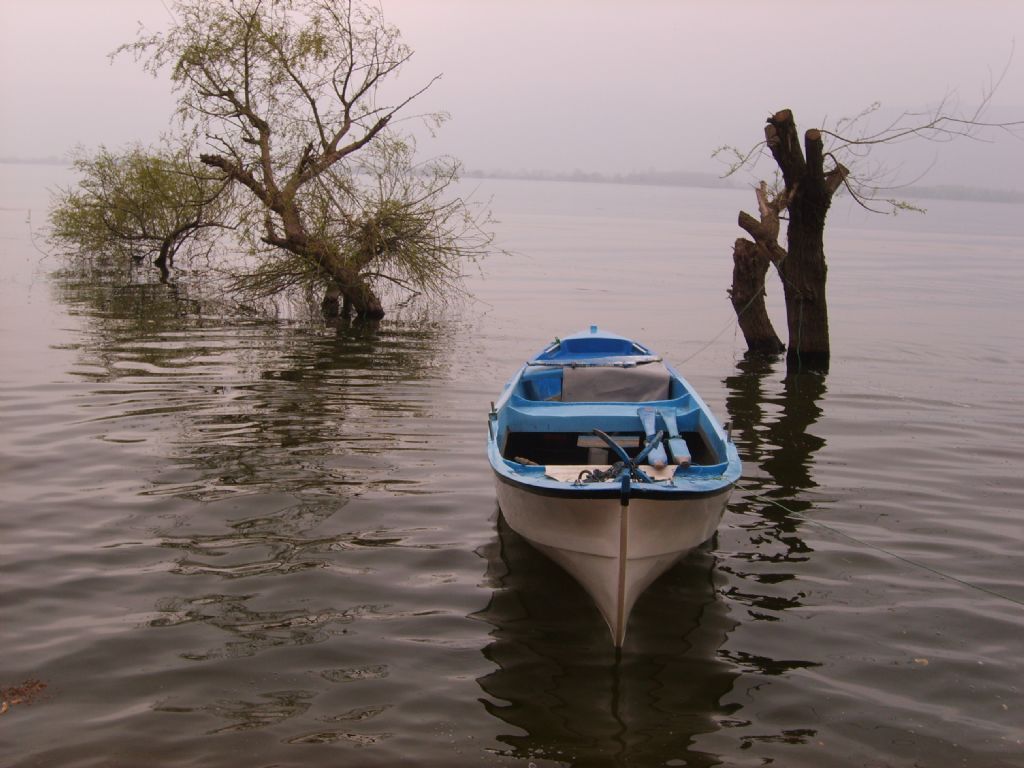 ZAMAN K�MSEY� BEKLEMEZ 