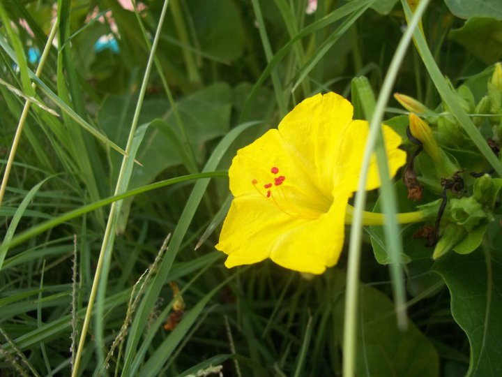 icekler sevildikce byr