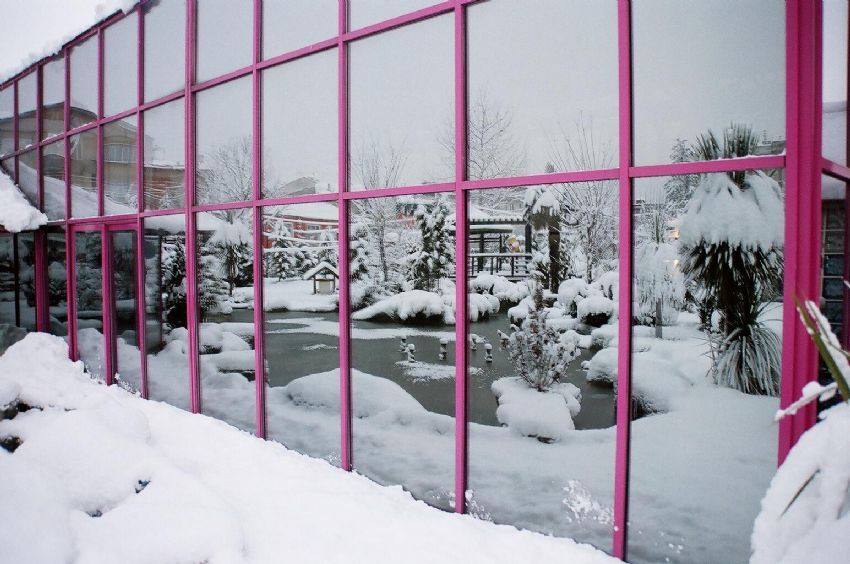 Madalyonun arka yz...