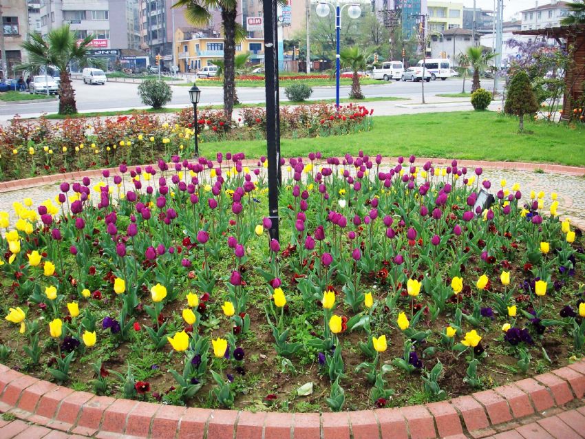 Eruz Dostumuza...52.Fotom...