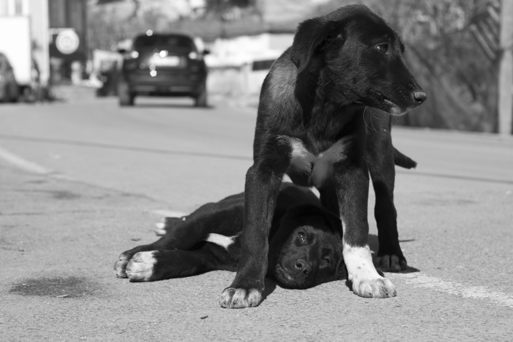 B�rakt� ve gitti