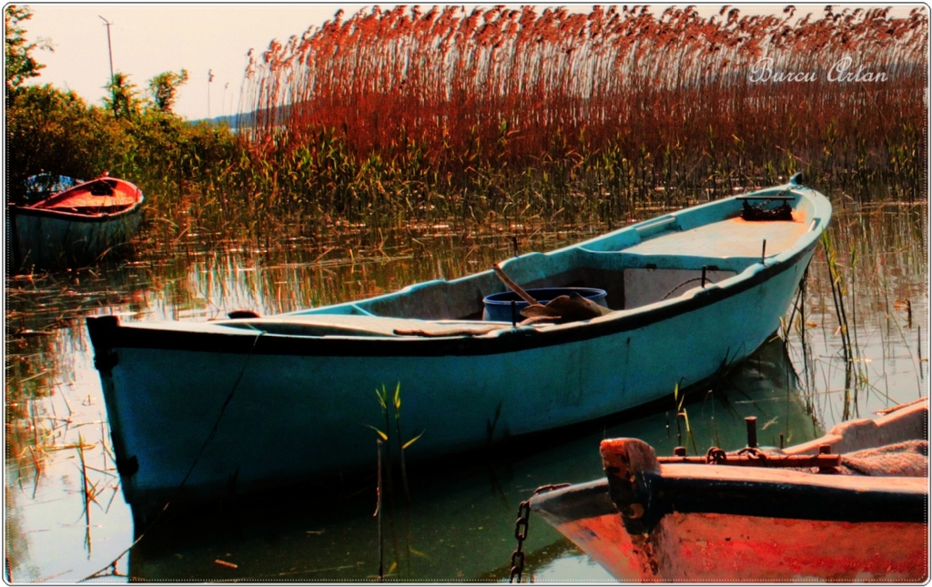 hznn rengi kzl olmal...