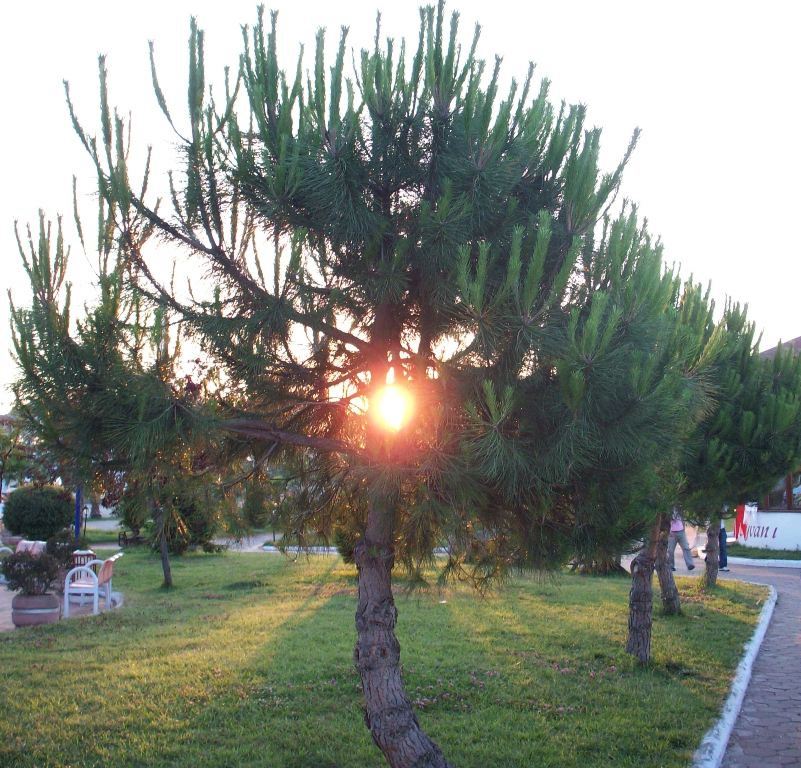 Yangna Dikkat Edelim...