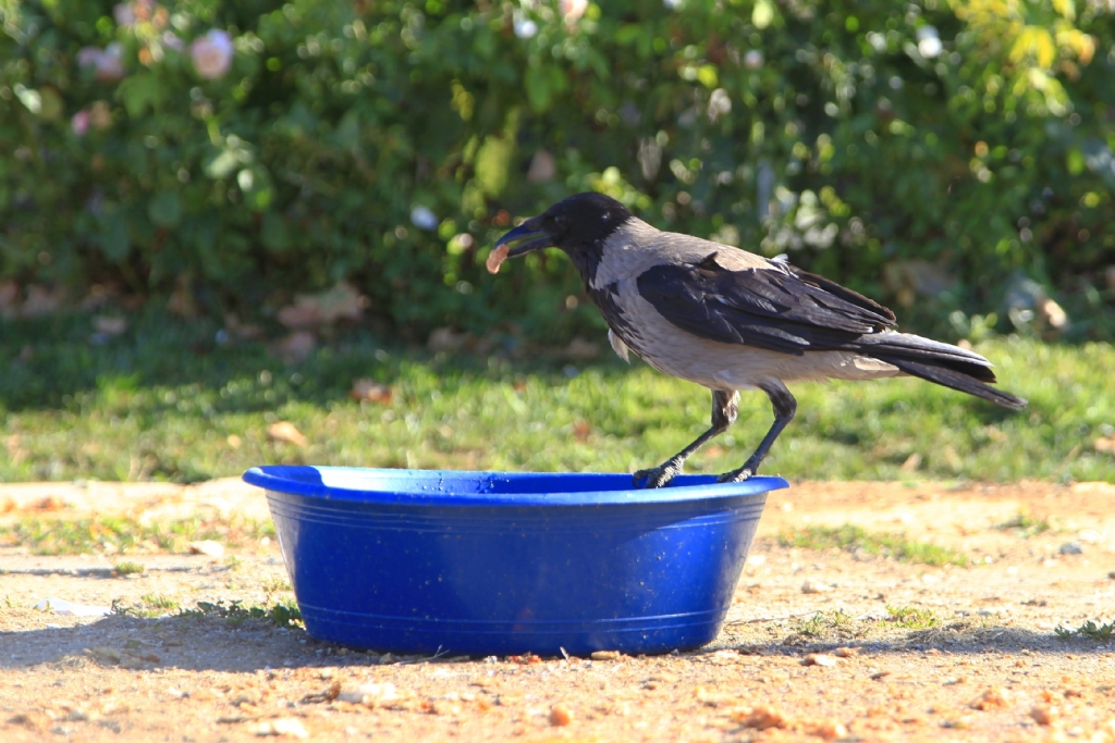 �stanbul^da sabah...