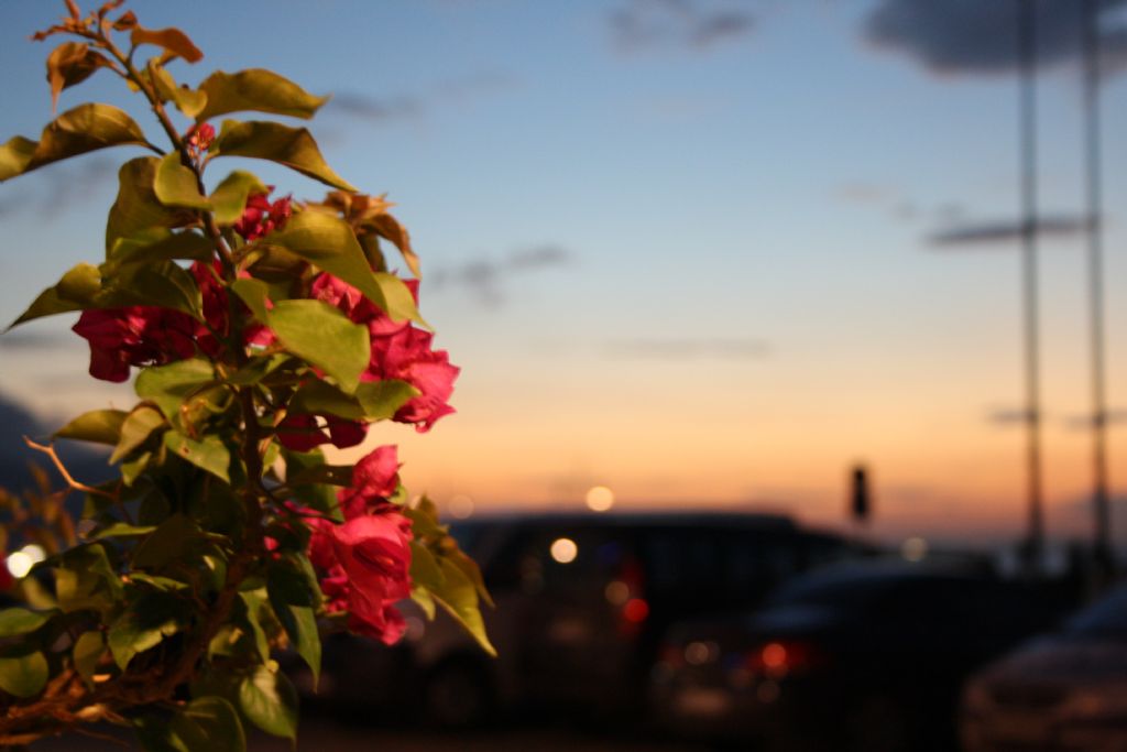 geceyi �zleyenlerden biri...