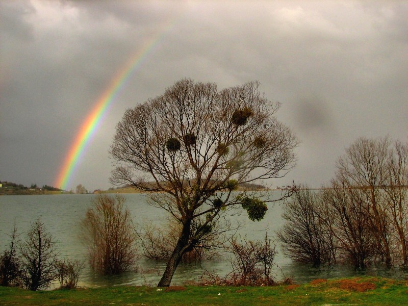 Biraz Ik Biraz Gkkua