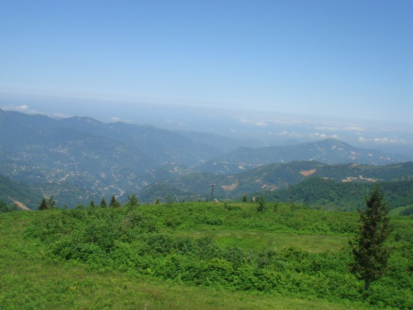 yeilin verdii huzur...