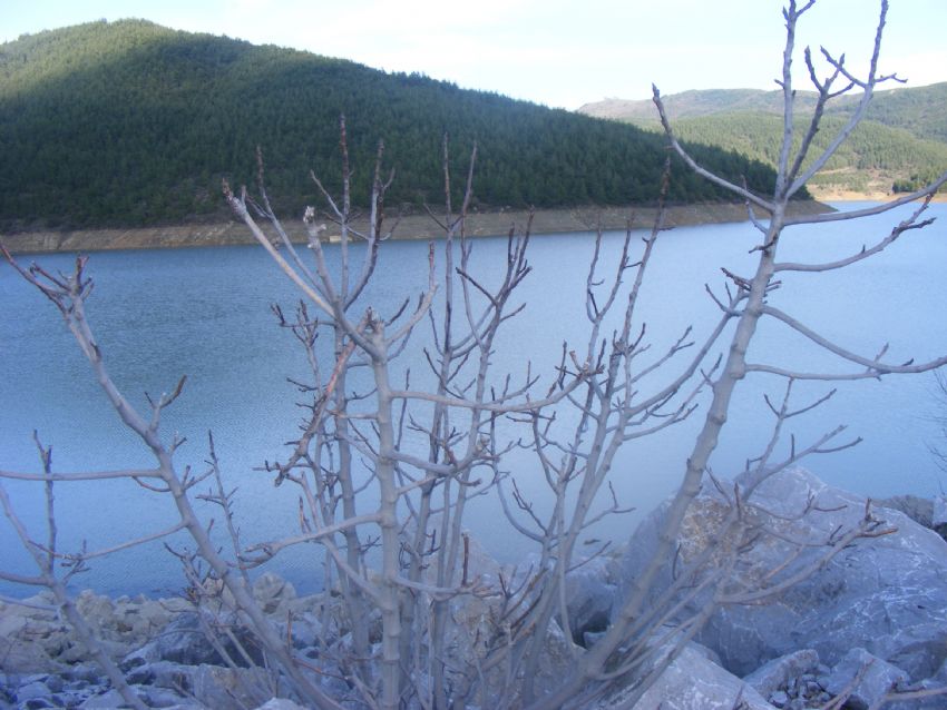 TAB�ATIN UYANI�I