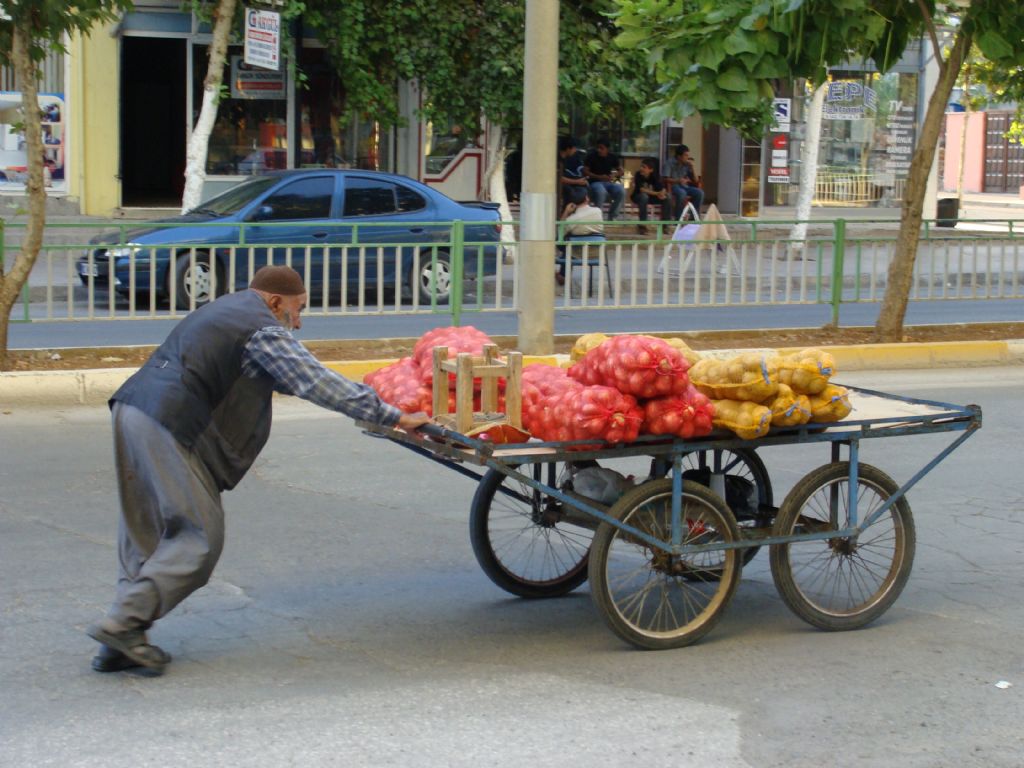 ekmek paras 1