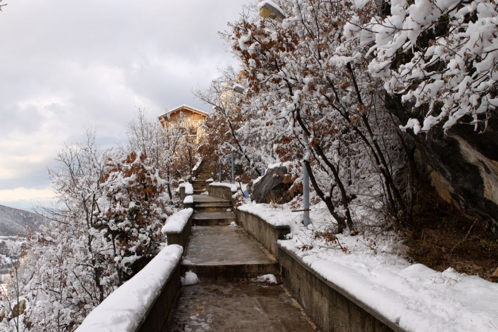 Tokat-Pazar