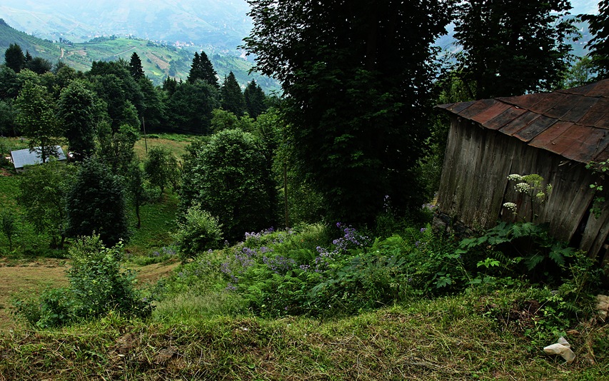 Hdrnebi yollarnda...