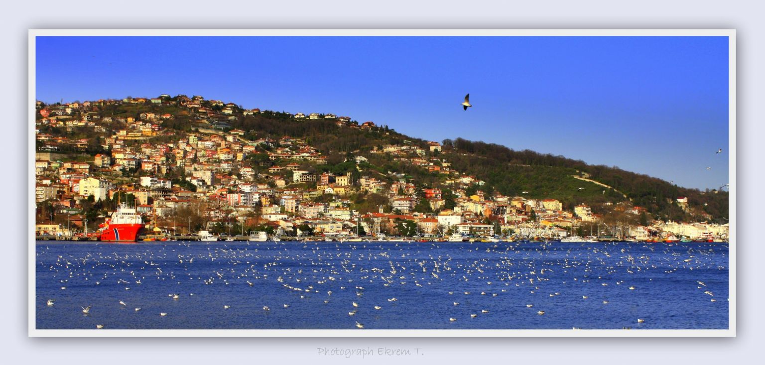 Sar�yer semalar�ndan...