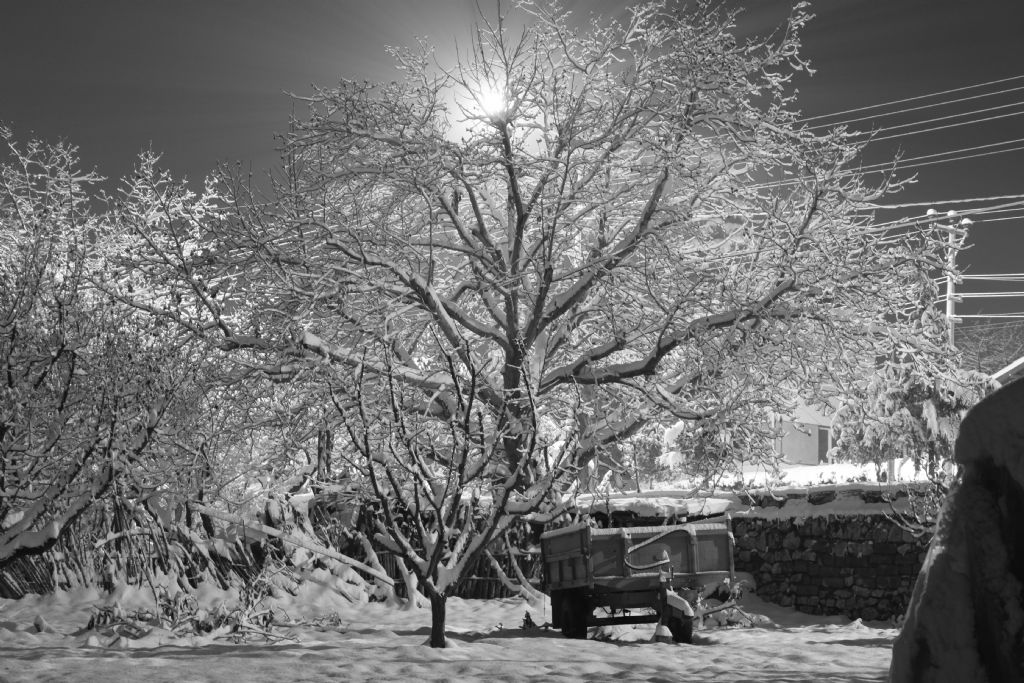 Y�l�n �lk Kar ya���� 