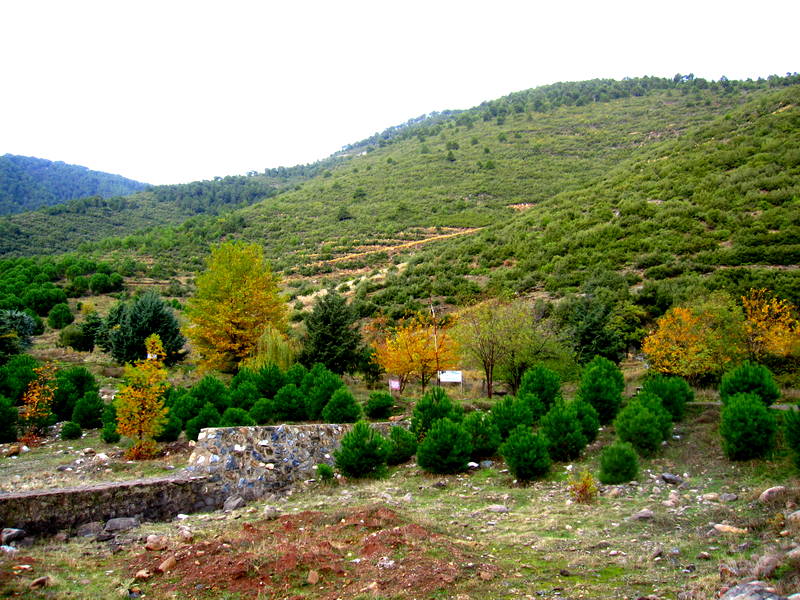 Ornaz vadisi, Denizli