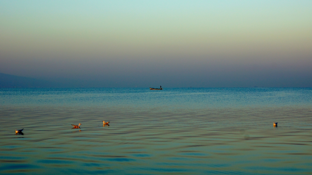 GN DOARKEN ZMR KARIYAKA