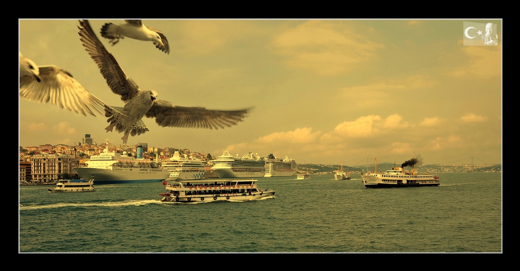 G�ZEL �STANBULDAN KARELER...