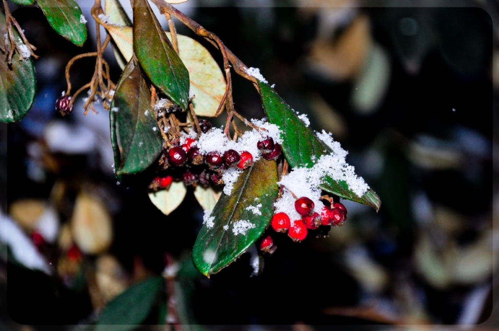 d��er tar taneleri