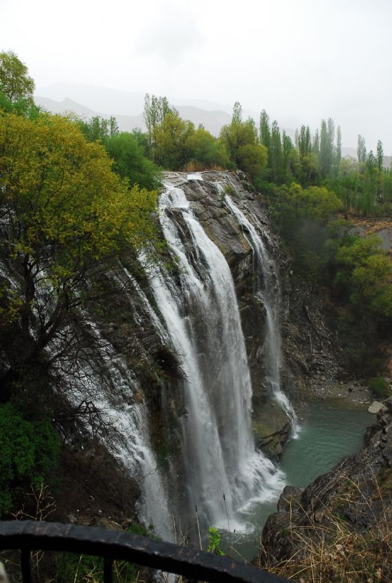 Tortum elalesi/Erzurum