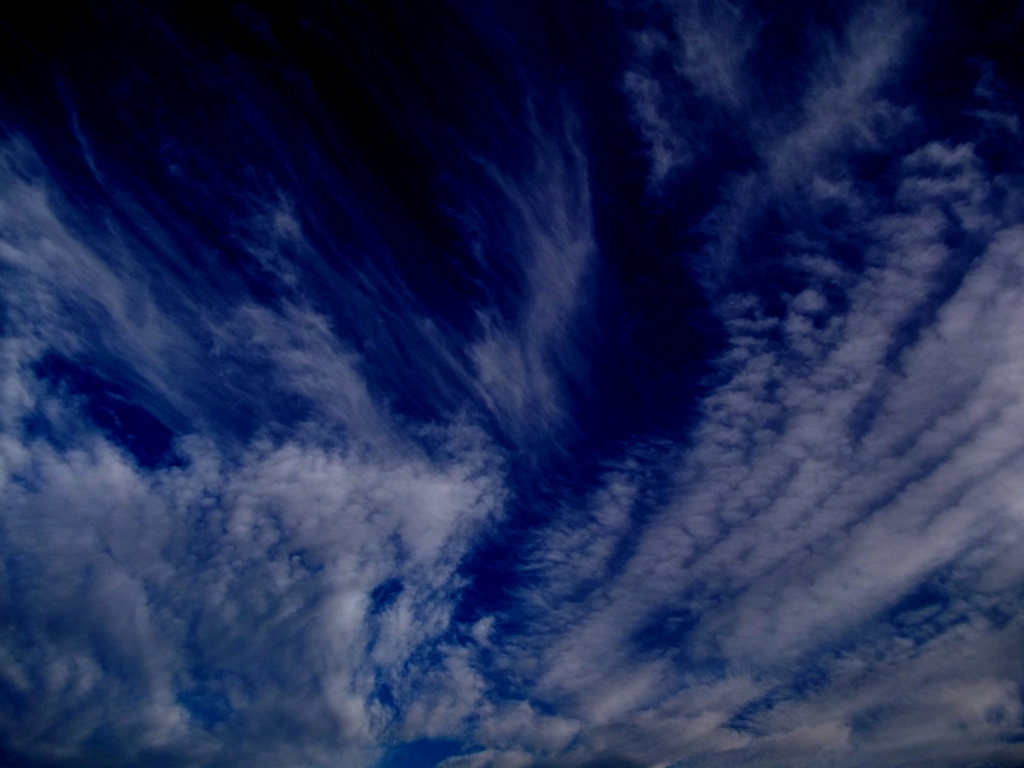 renklerin dans�...