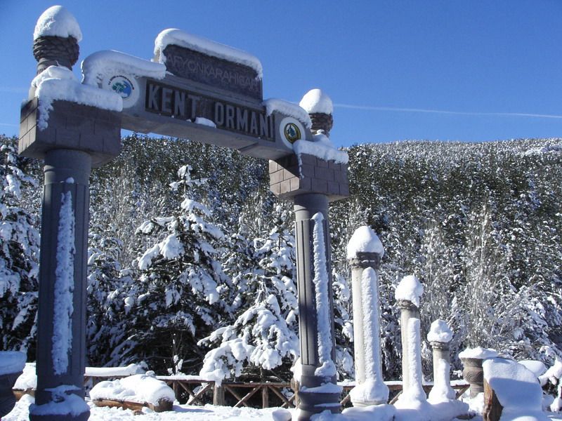 BEYAZ GNLER VE KENT ORMANI...