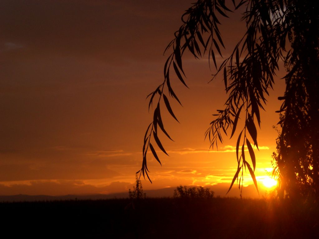 elbistanda gne douyor