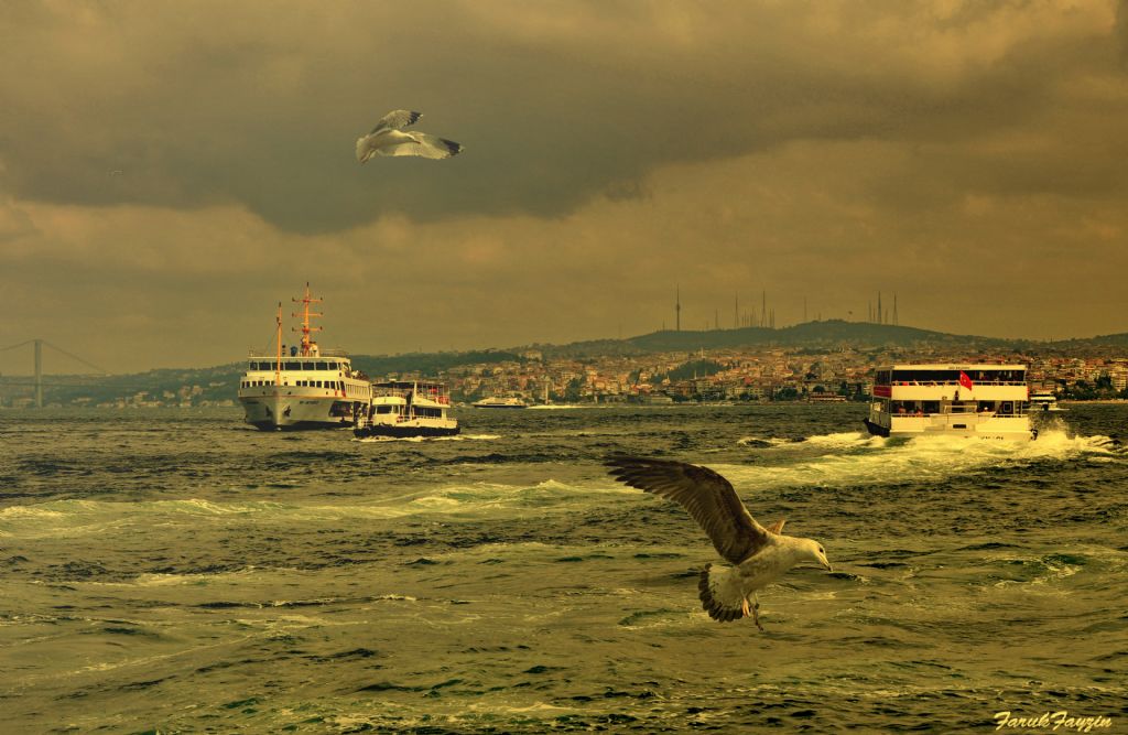 MARTILAR VE STANBUL...