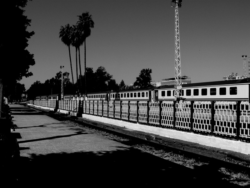 ADANA YOLCUSU KALMASIN