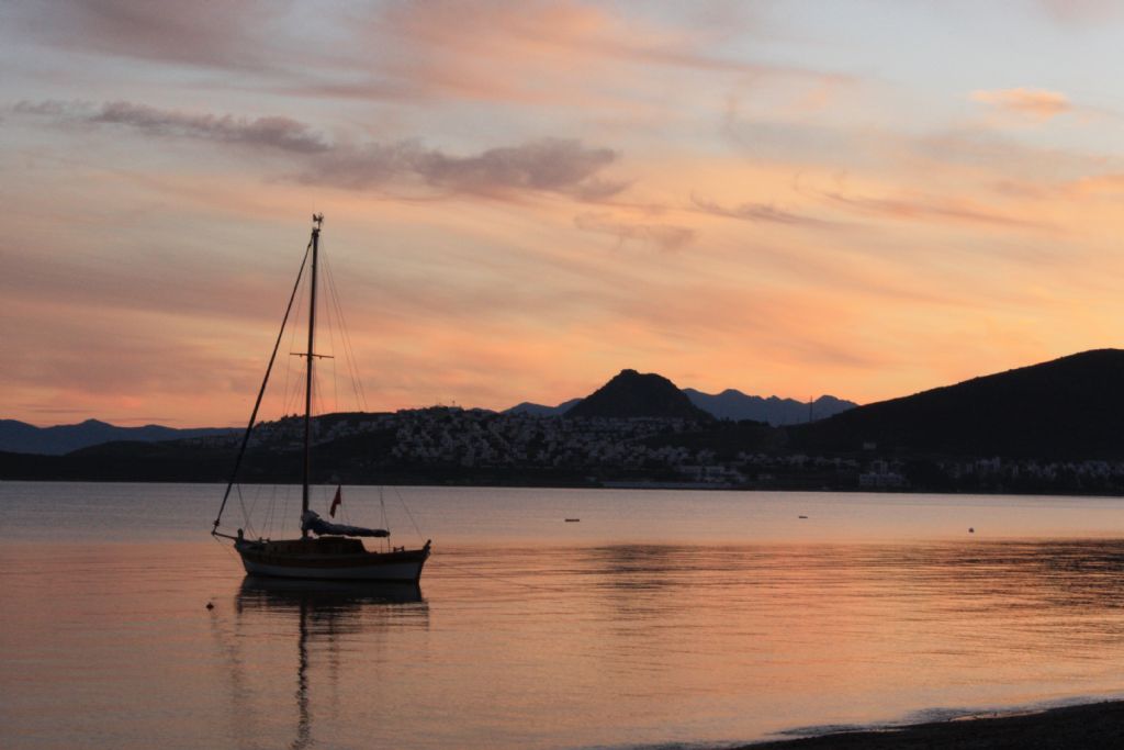 owner of a lonely heart