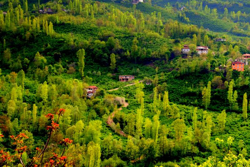 Haydar A�a Yoku�u