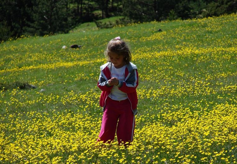 sar iekler arasnda