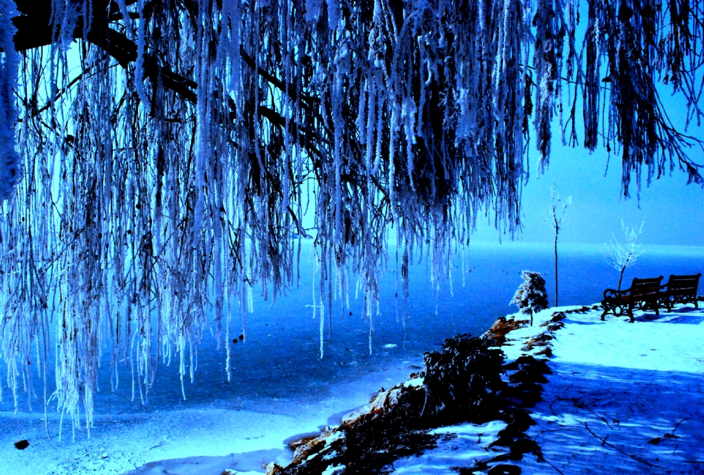 kahraman �anal-bey�ehir g�l�