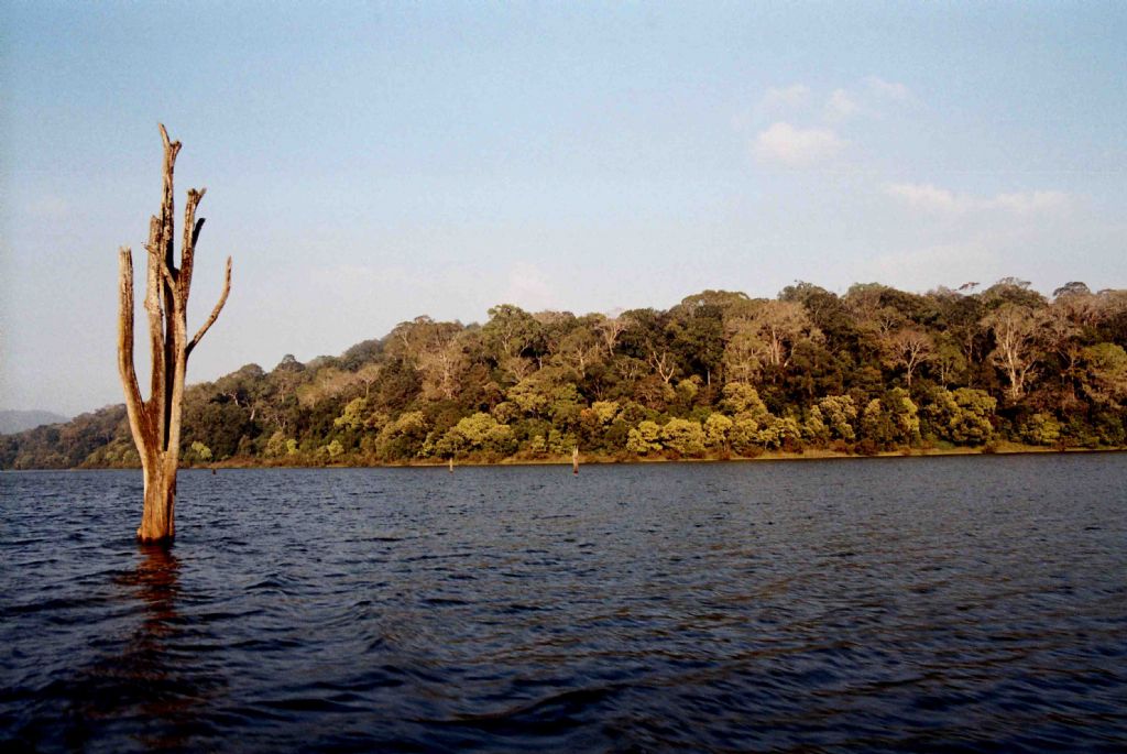 periyar / milli park