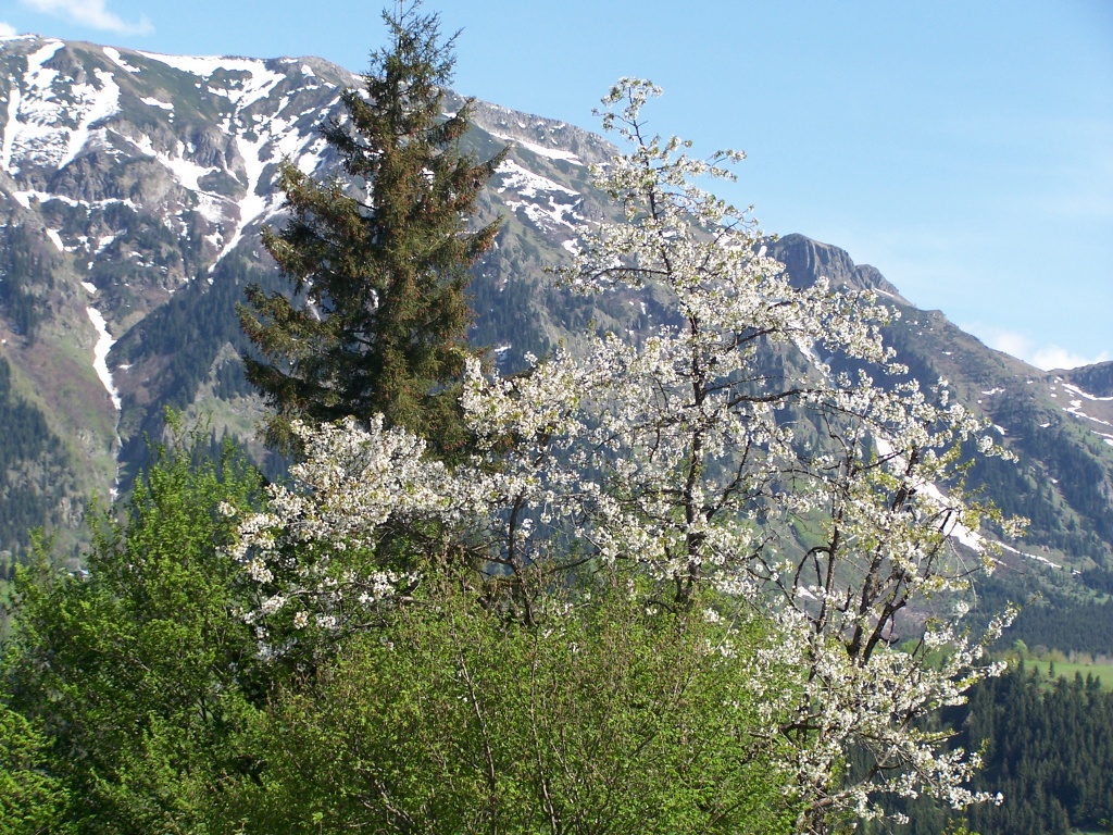 K��,ilkbahar,yaz