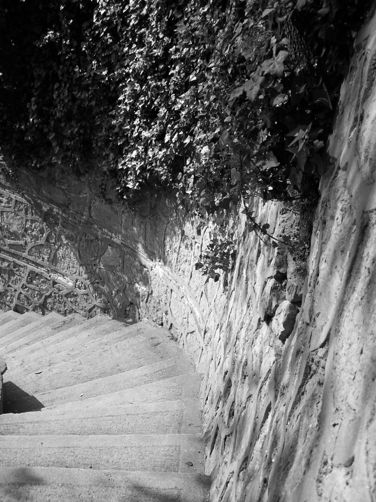 ar ar ktm bu merdivenlerden..