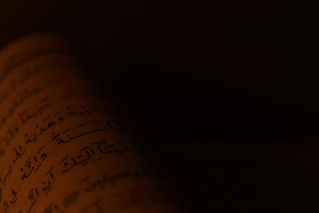 yaamn kullanma klavuzu