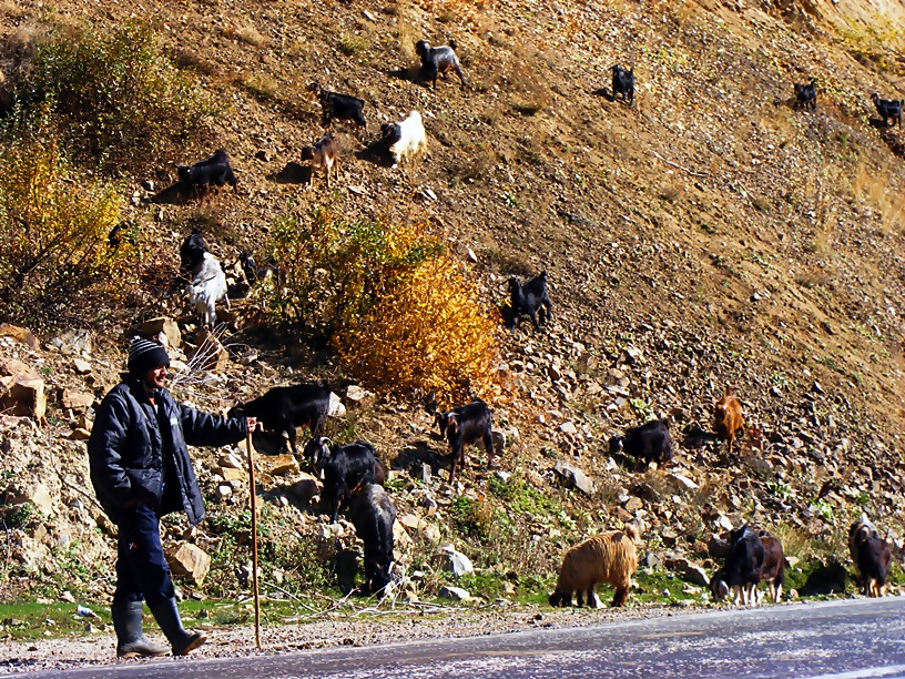 KUMBET EMEKCISI