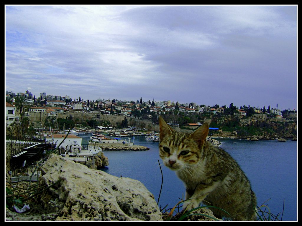 antalya patilerimin altnda