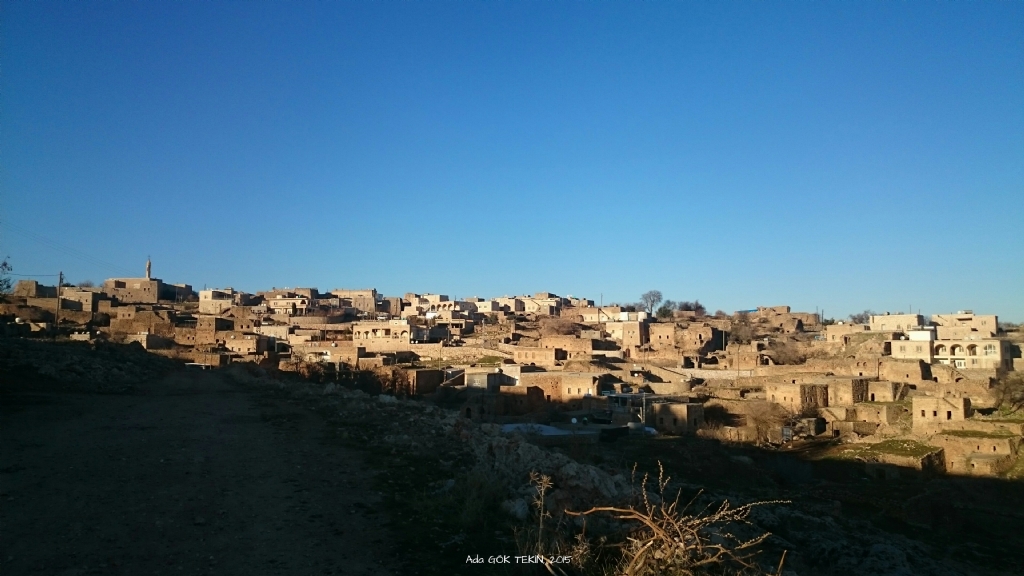 S�ryani K�y�: Haberli