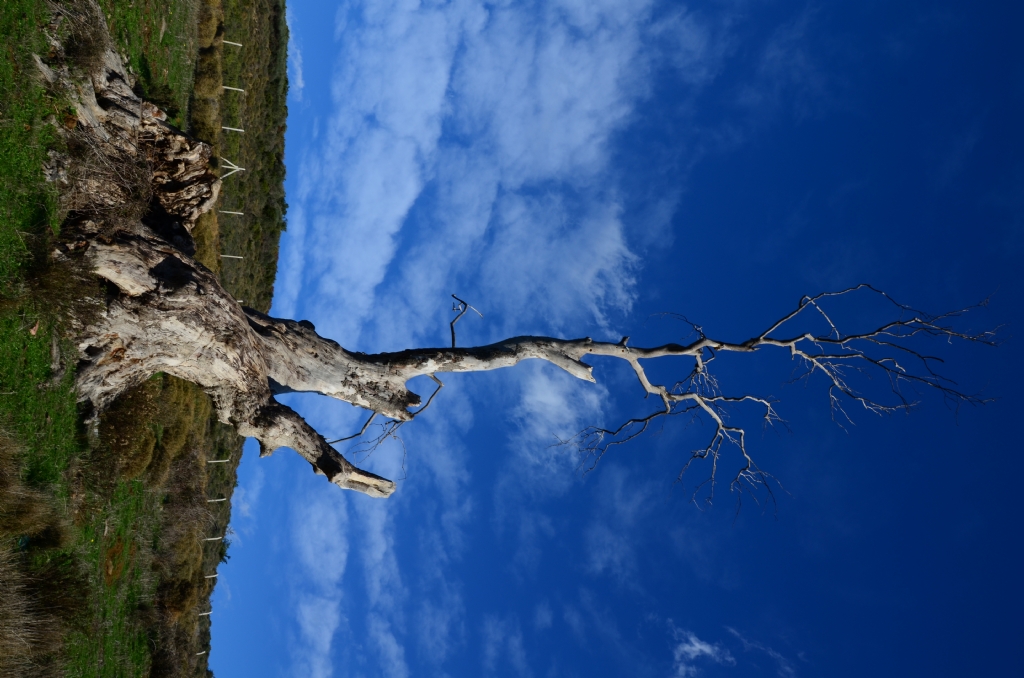 yllara meydan okumak