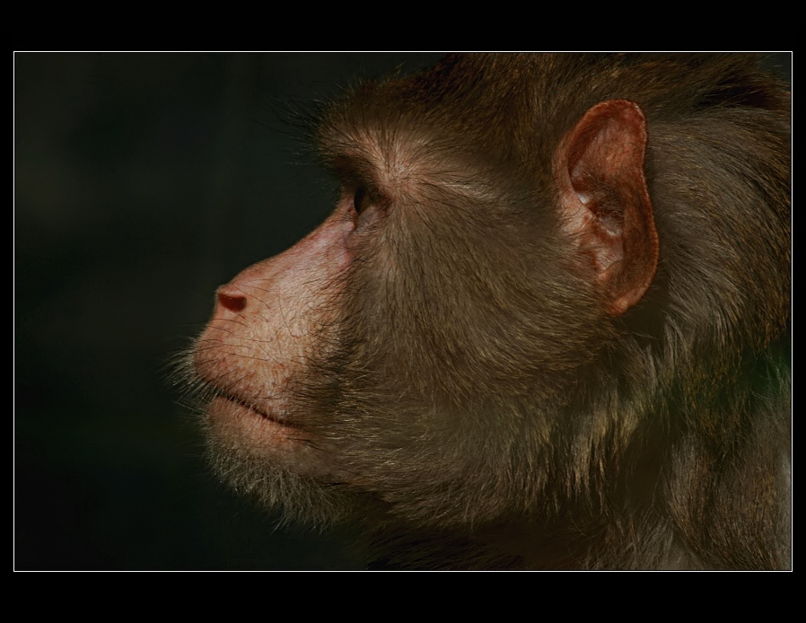 A.O.....den...portreler-3-