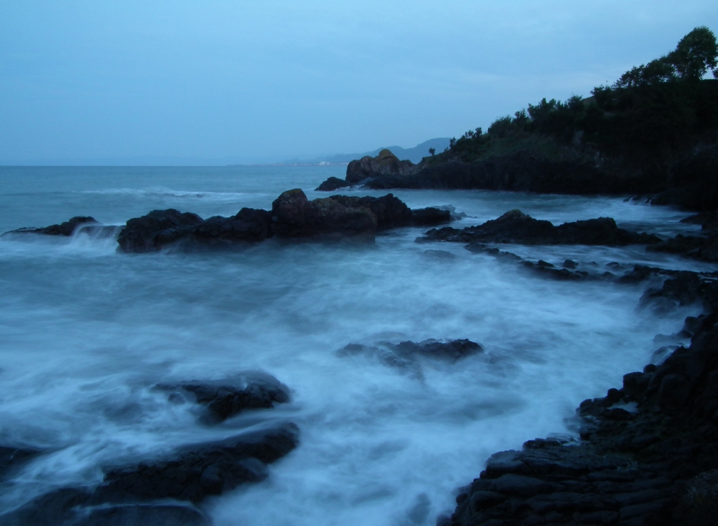 Bir demene �ekimi..