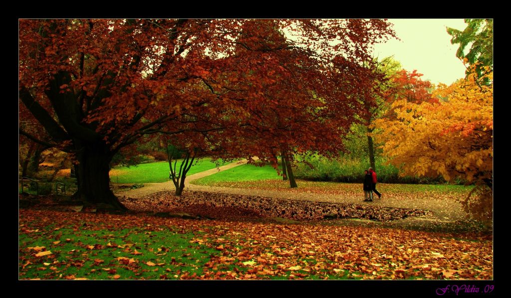 sonbahar melodisi  19.