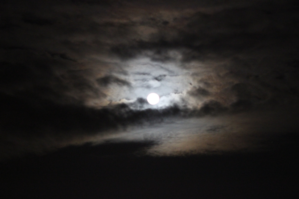 17.01.2014 19:40 �tibariyle Ay