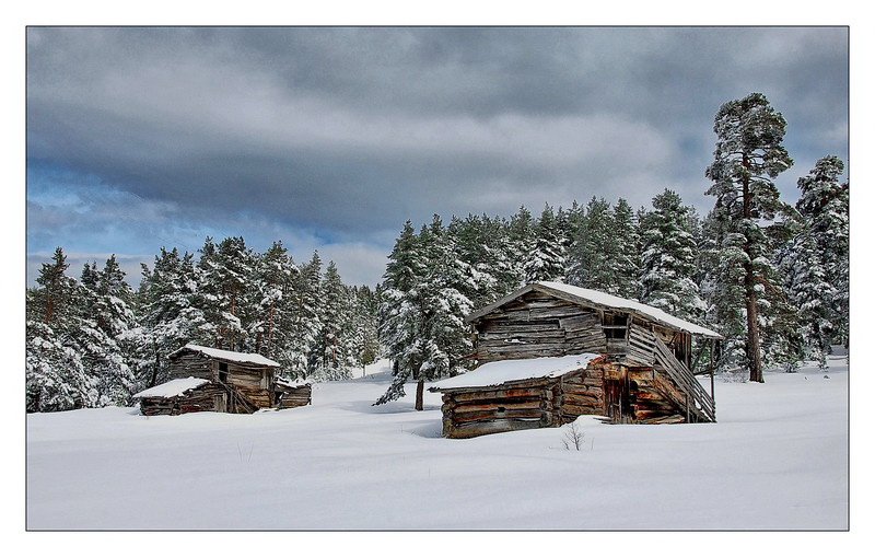 Yayla Evleri