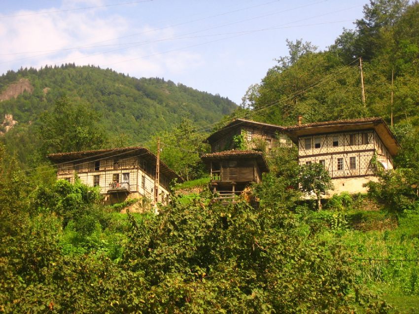 Dernekpazar� k�y evleri