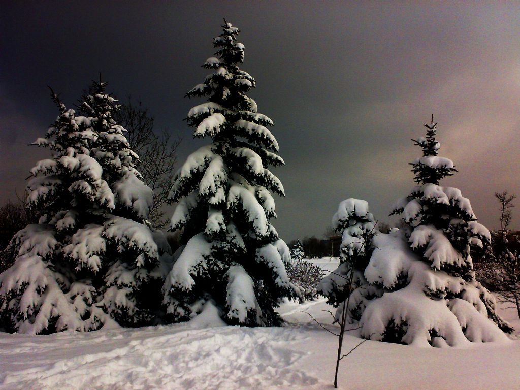 Karlar d��t� �st�m�ze....